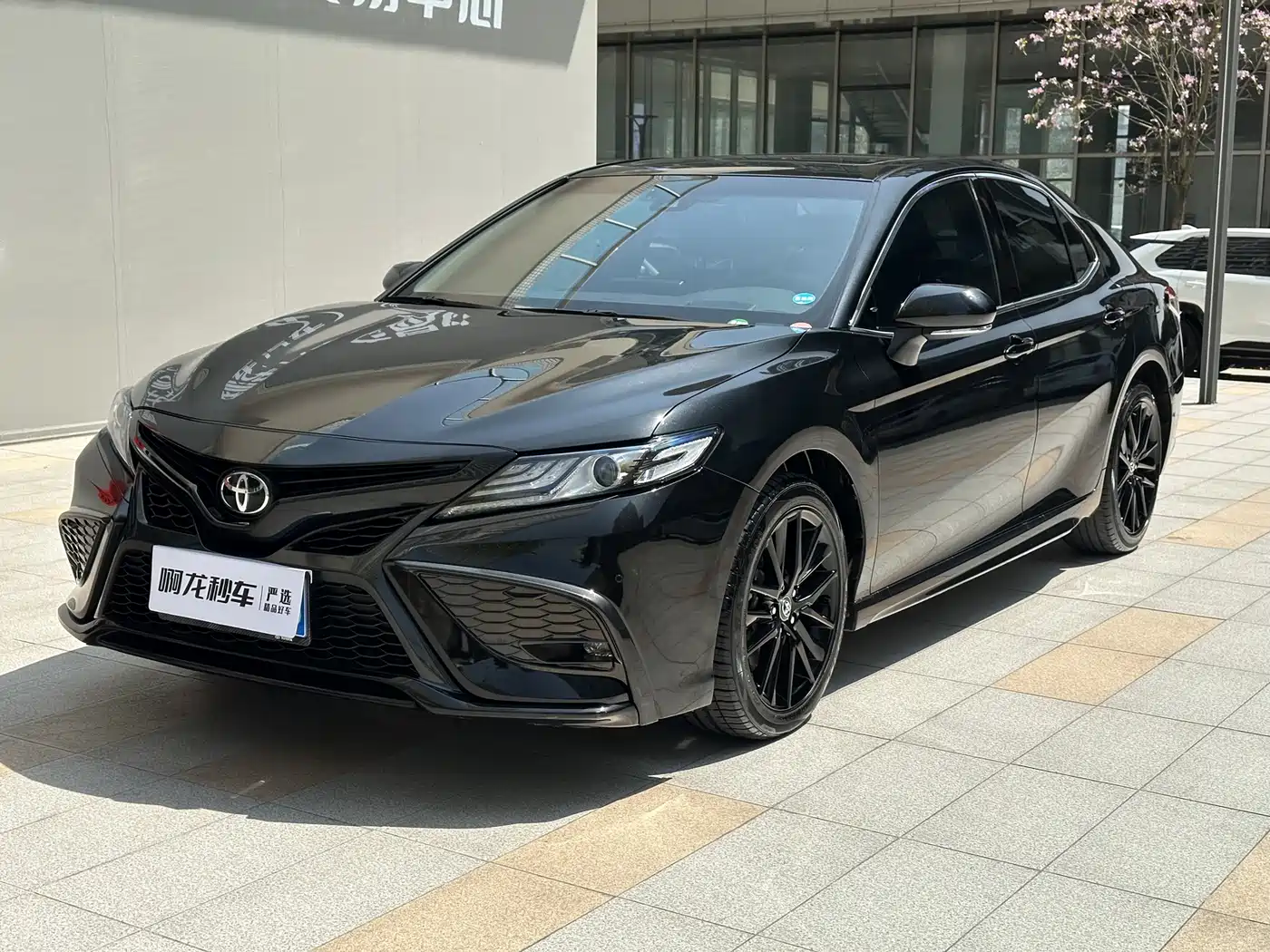TOYOTA CAMRY