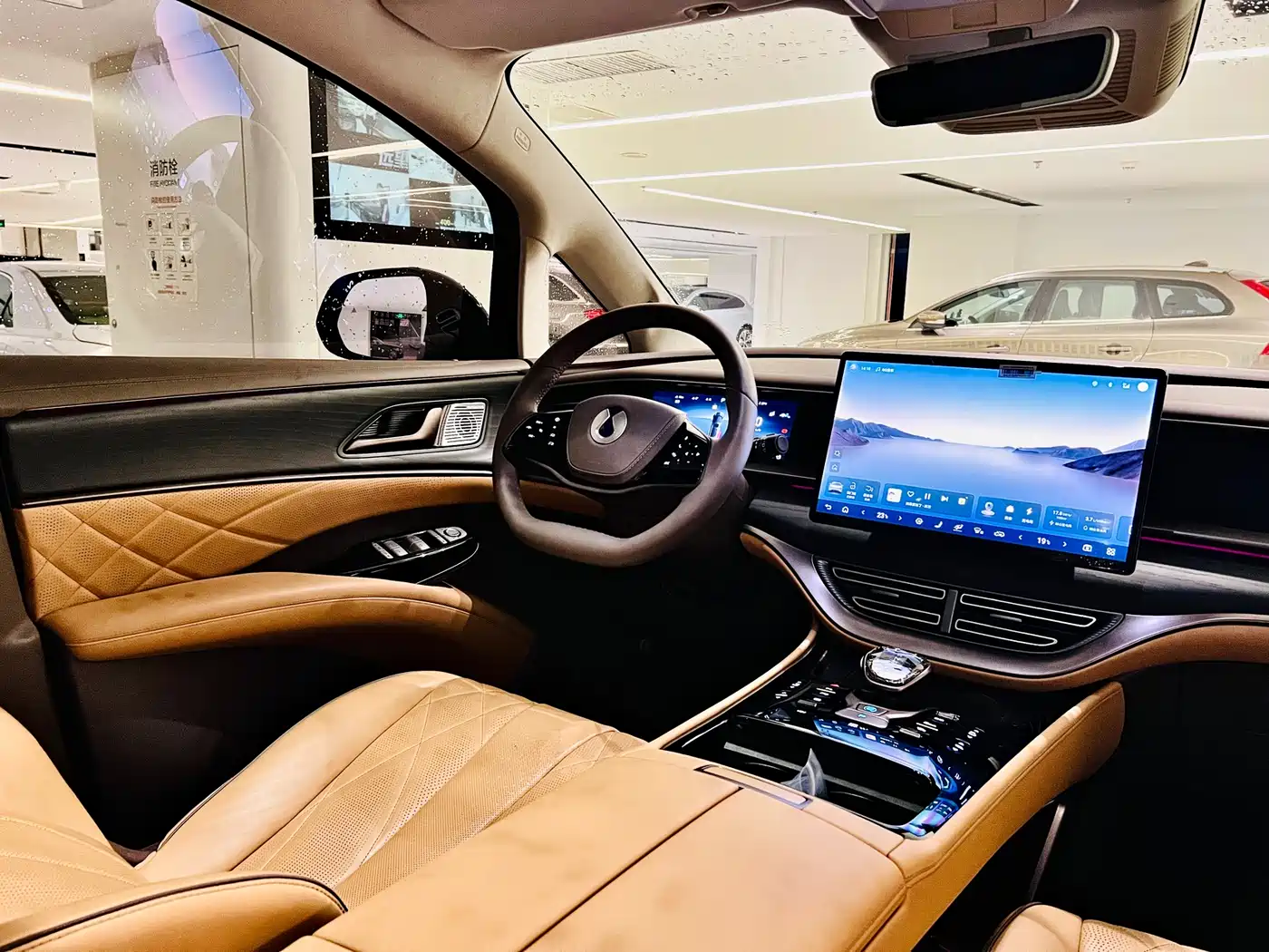 Denza D9 2022 DM-i 970 AWD Flagship фото 5