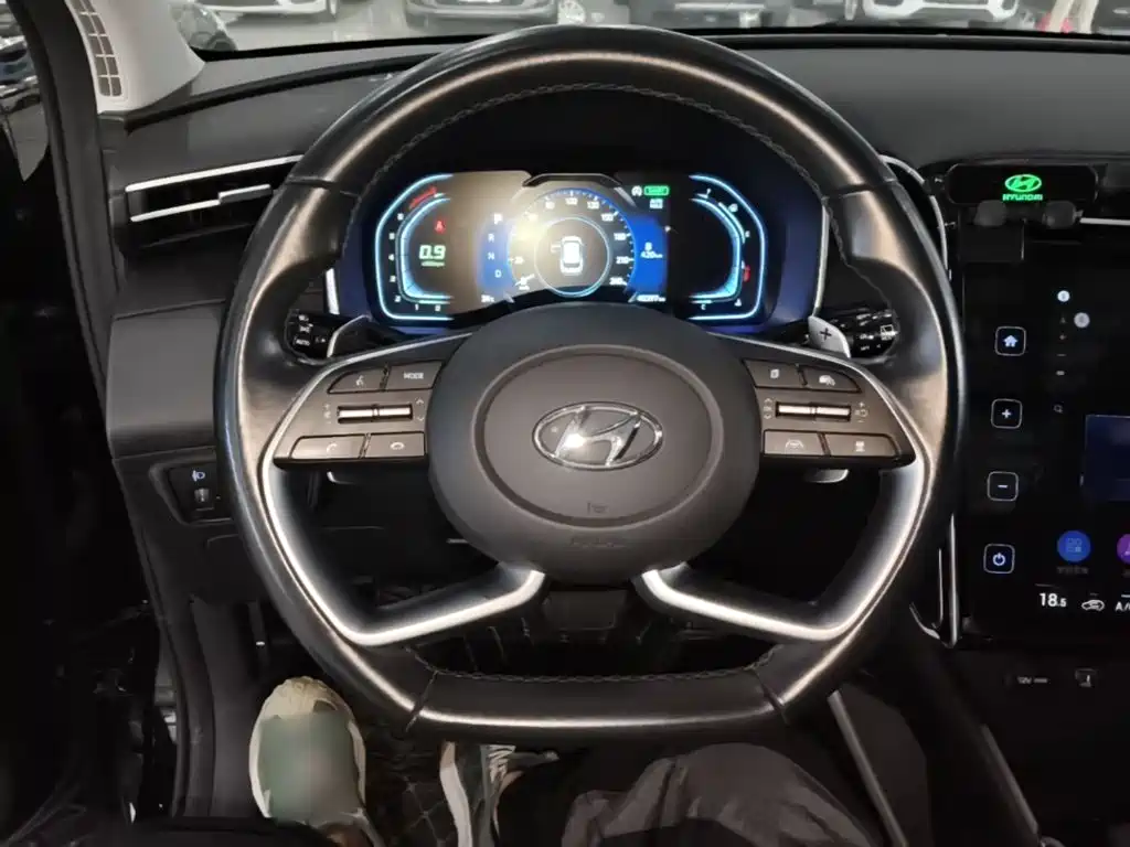 Hyundai Tucson 2024 2023 Tucson L 1.5T Automatic 2WD DLX Luxury Edition