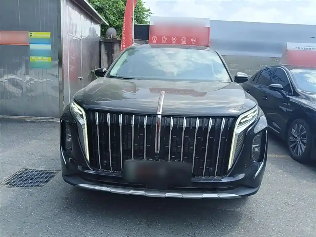 Hongqi HS7 PHEV 2024 2.0T PHEV 4WD Flagship Edition 6-seater фото 3