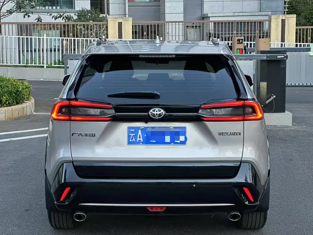 Toyota Wildlander 2025 2024 2.0L CVT 2WD Luxury PLUS Edition