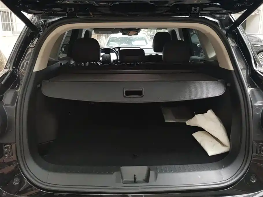 HAVAL SECOND GENERATION BIG DOG NEW ENERGY