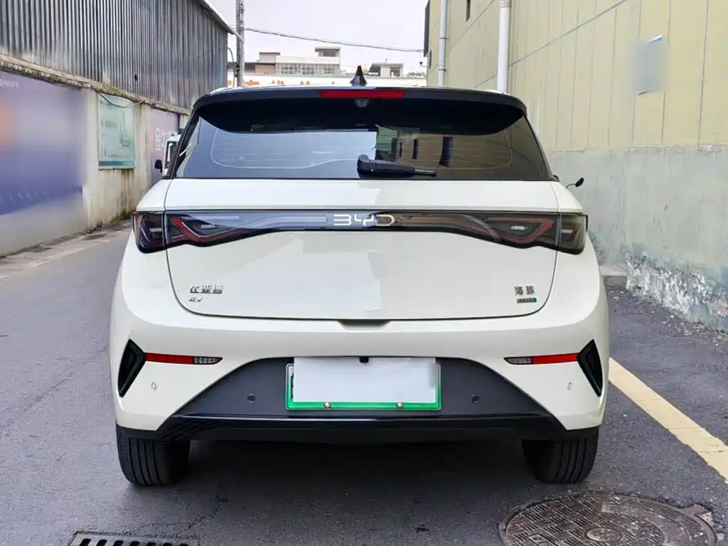 BYD Dolphin 2026 2025 Smart Drive Edition 420km Freedom Version