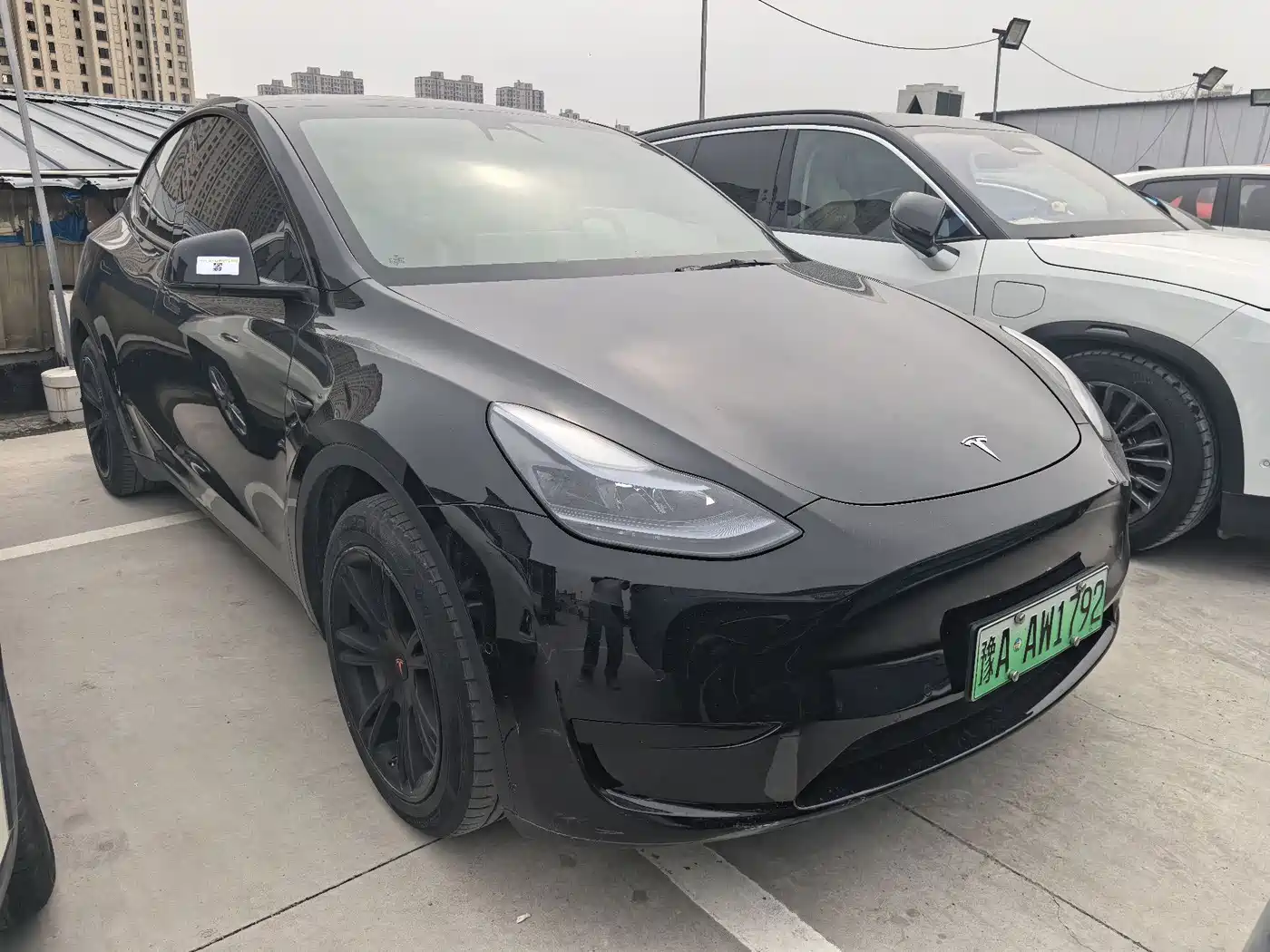 TESLA MODEL Y