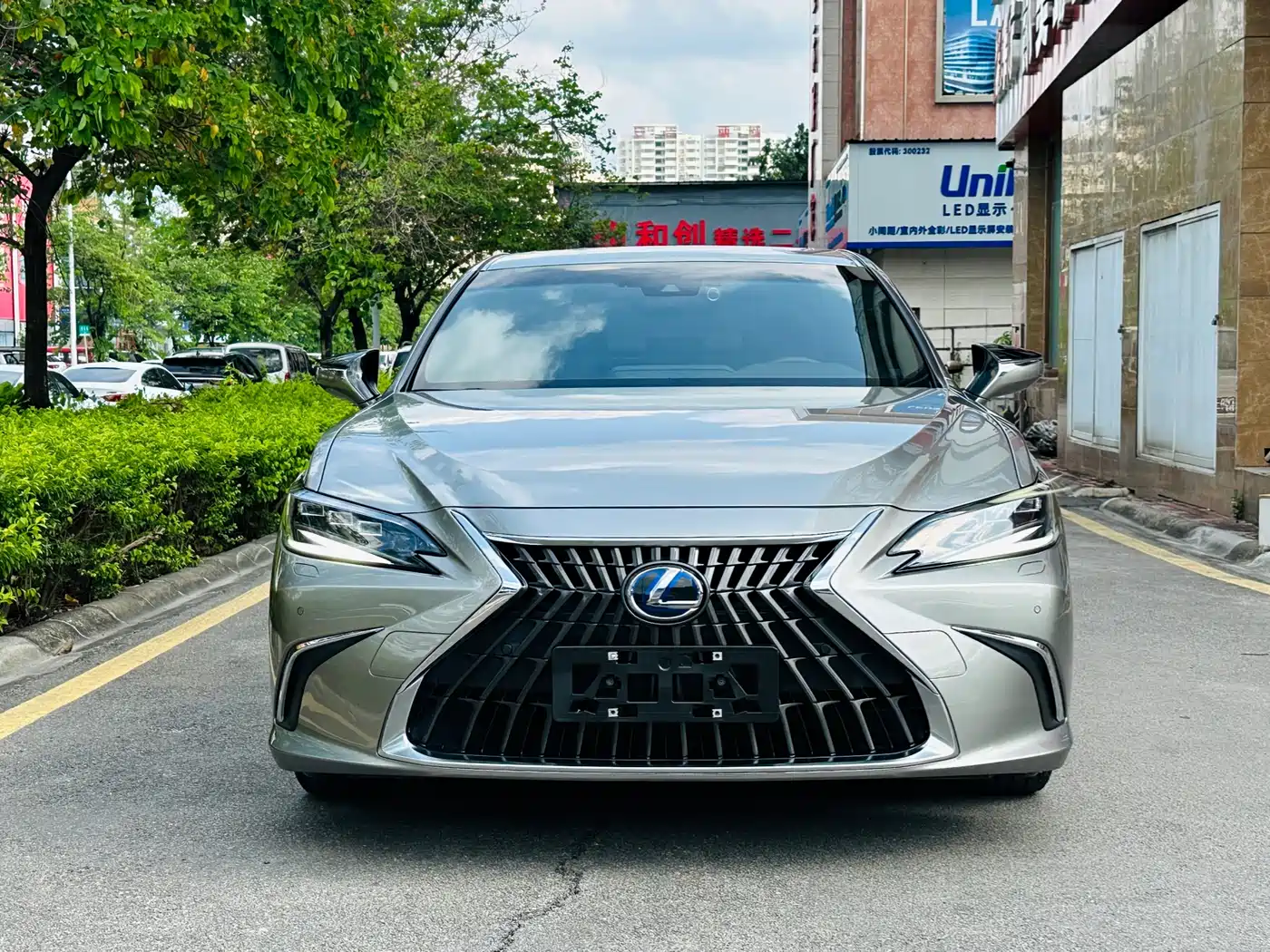 Lexus ES 2021 300h Luxury Edition фото 2