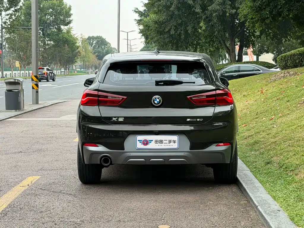 BMW X2 (Import) 2019 2019 sDrive20i M Off-Road Package China VI