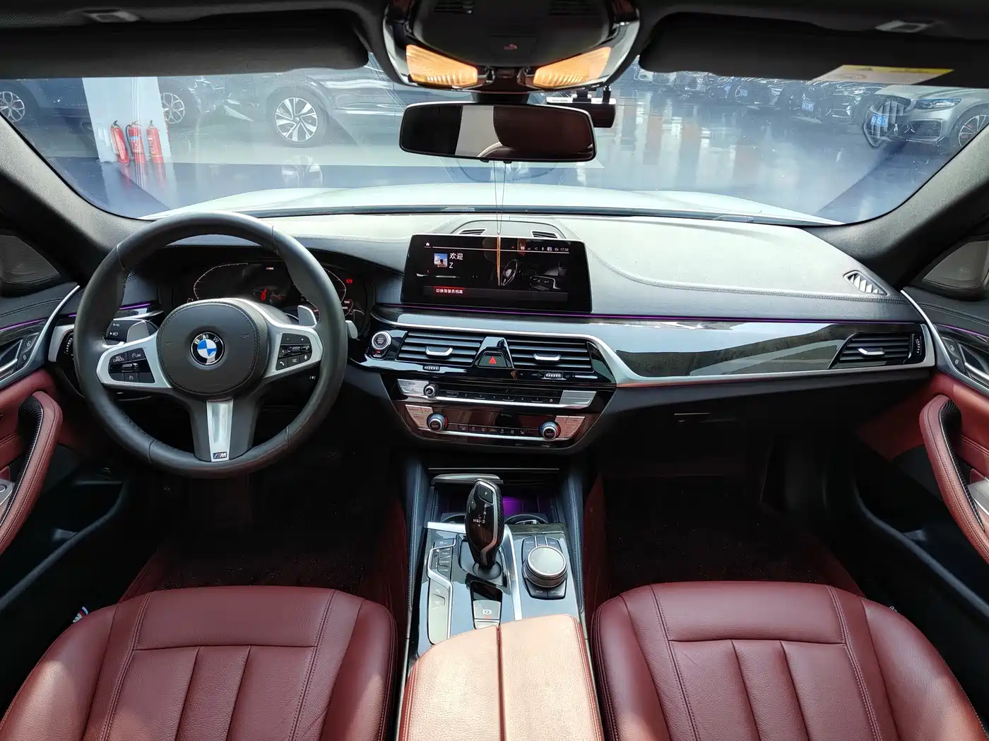 BMW 5 Series 2020 530Li Leading M Sport Package фото 6