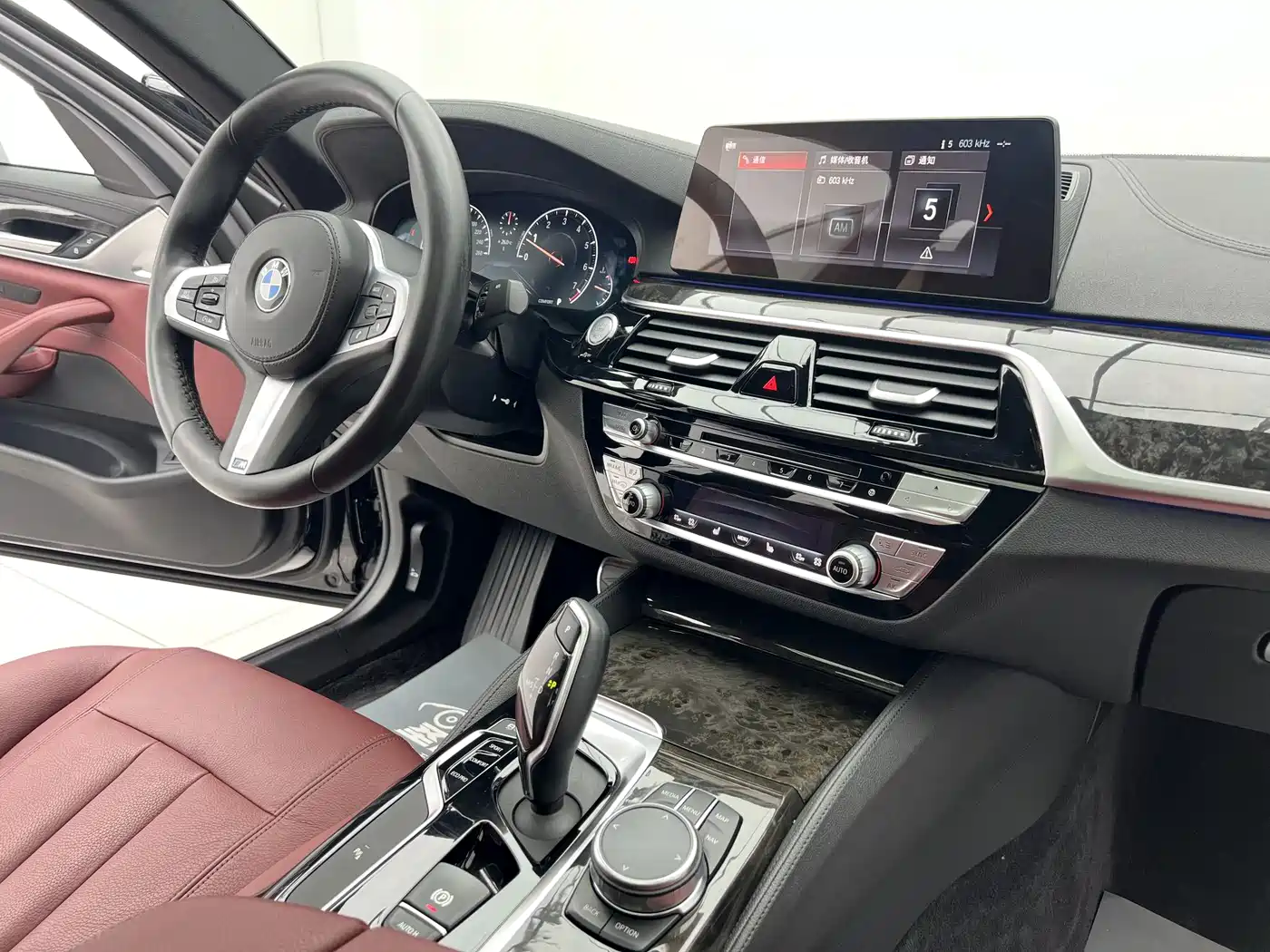 BMW 5 Series 2019 530Li Leading M Sport Package фото 15