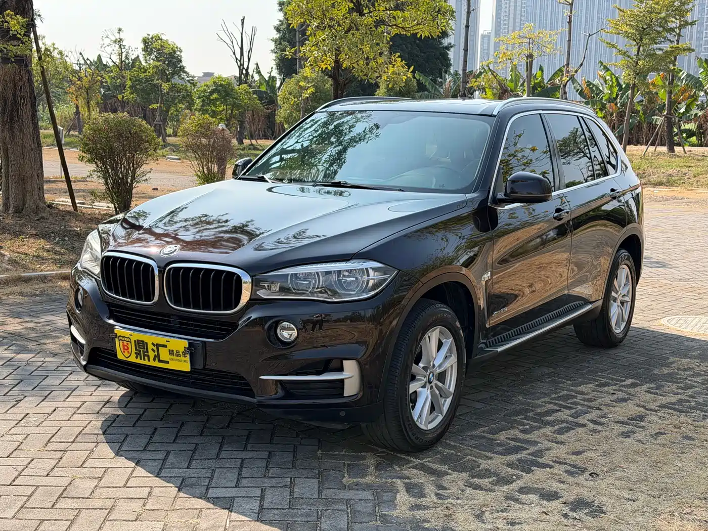 BMW X5 (Import) 2018 xDrive35i Elegant Model