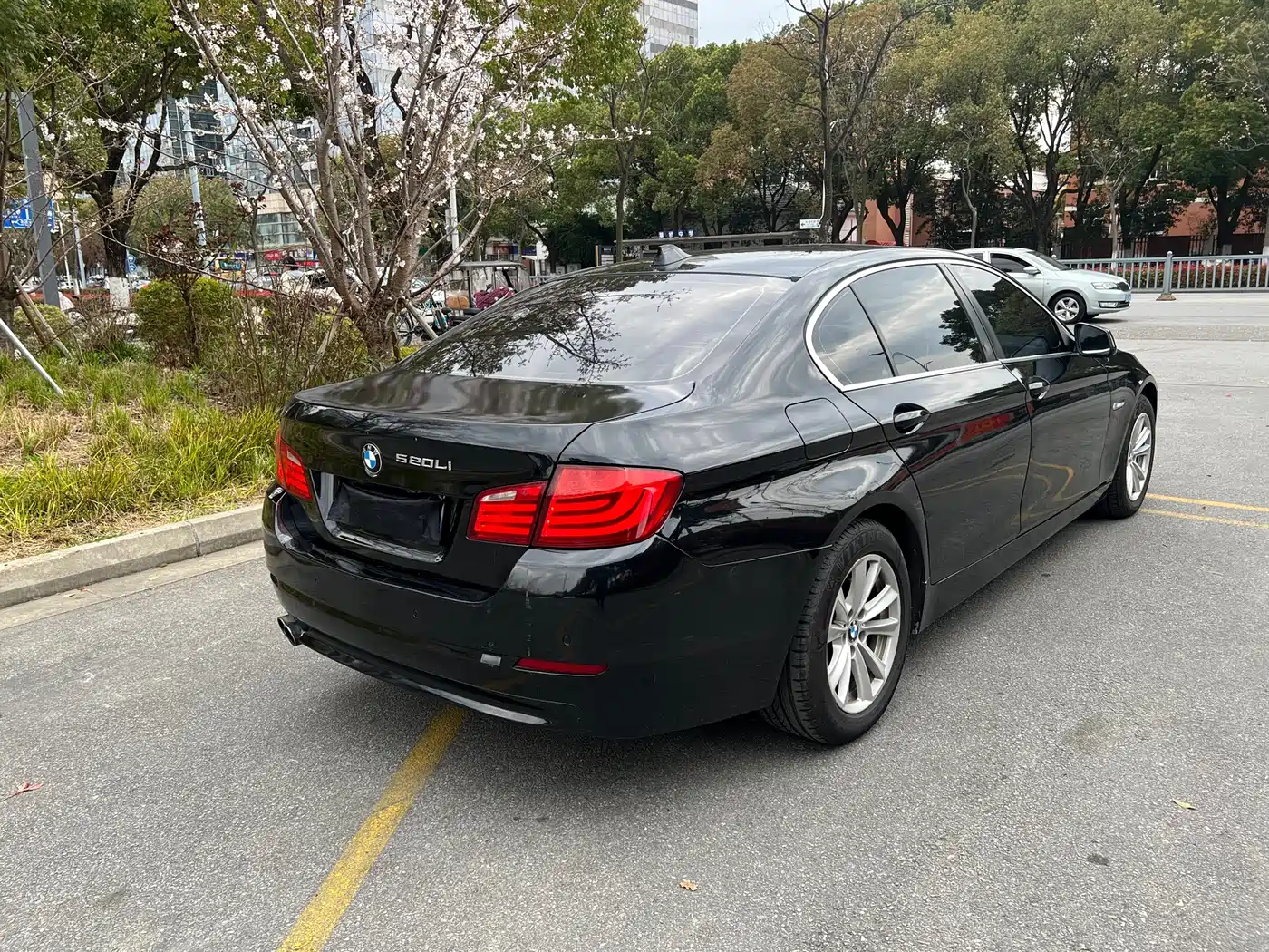 BMW 5 Series 2012 520Li Elegance фото 7