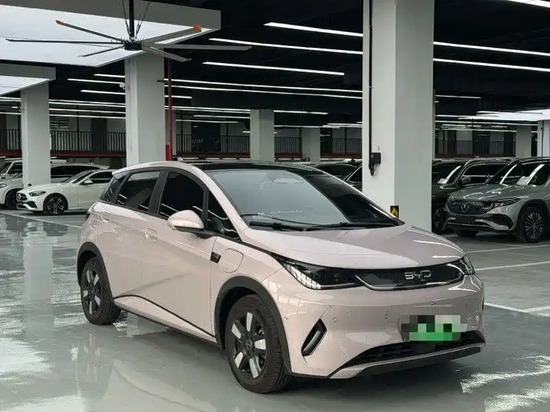 BYD Dolphin 2025 2025 Smart Drive Edition 410km Fashion Version