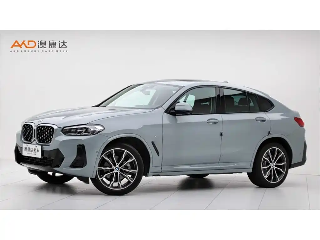 BMW X4 2022 xDrive 30i M Sport Package