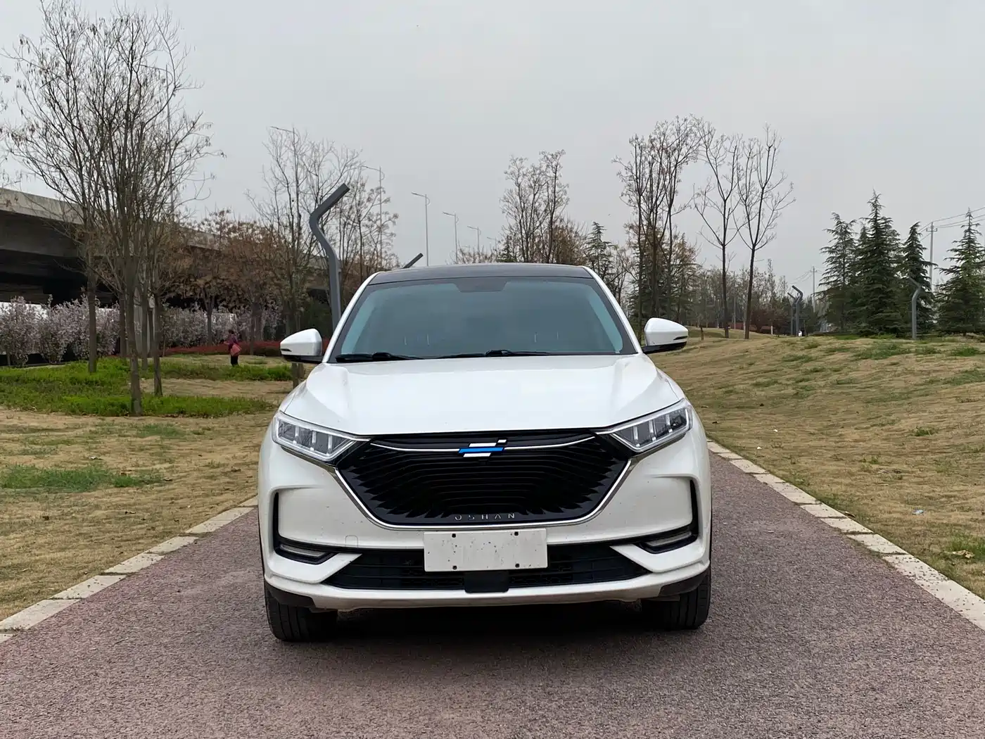 CHANGAN CHANGAN AUCHAN X7