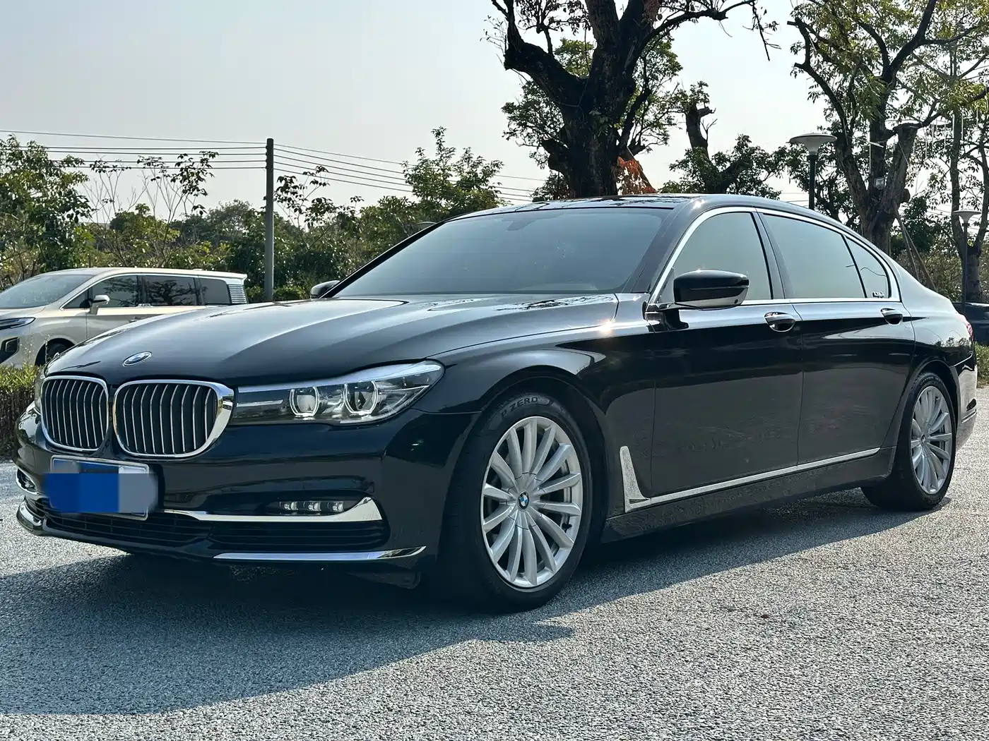 BMW 7 Series 2018 730Li Leading Type Excellence Package