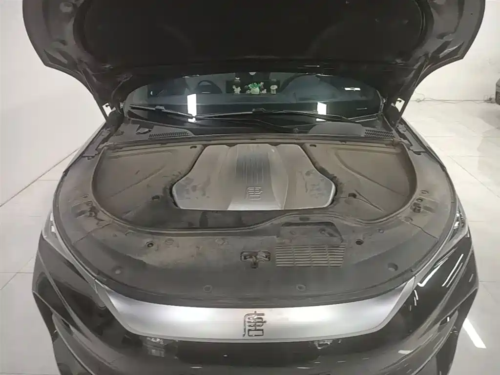 BYD Tang New Energy 2024 EV Glory Edition 600KM Premium фото 20