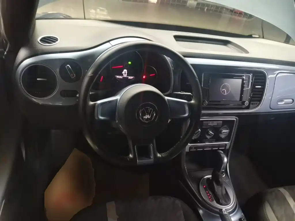صورة 11 - Volkswagen Beetle