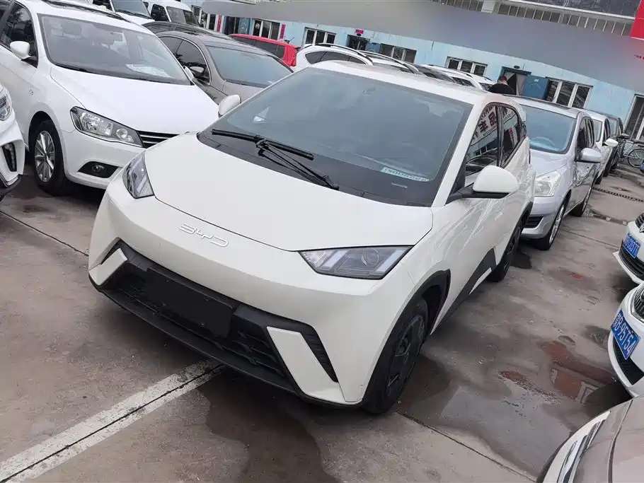 BYD Seagull 2023 Vitality Edition