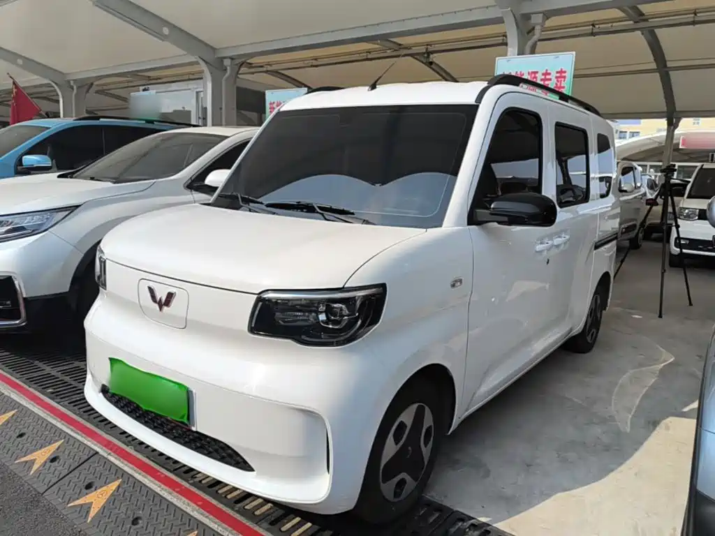 Wuling Motors Wuling Zhiguang NEV 2026 2025 Model 305km Base Version