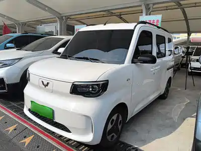 Wuling Sunshine