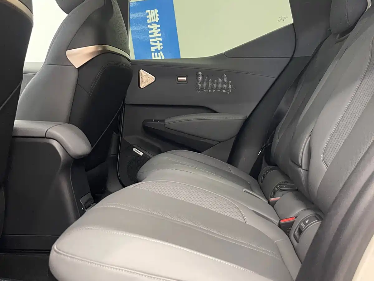 ZEEKR X 2024 2025 Four-Seat Rear-Wheel Drive Magic Cube Edition