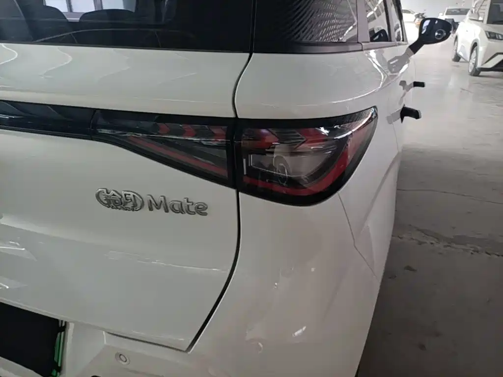 Cowin October 2025 2026 Mate 305km Guoxuan Wave Rider Edition