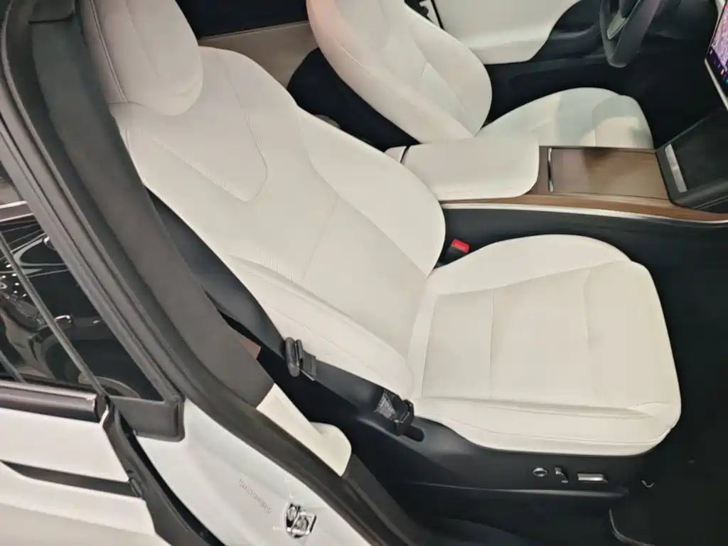 Фото 25 - Tesla Model X