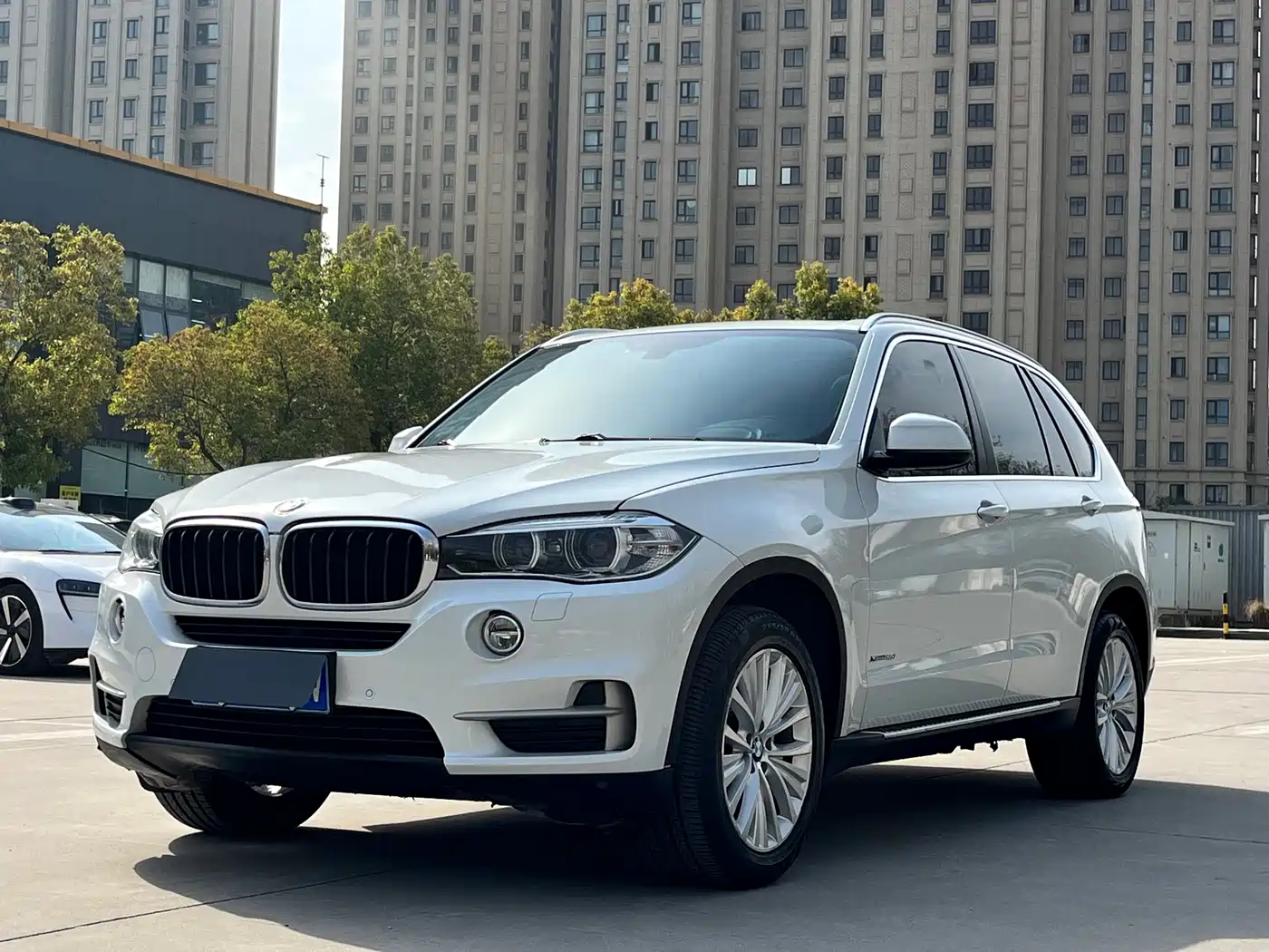 BMW X5 (Import) 2014 xDrive35i Leading