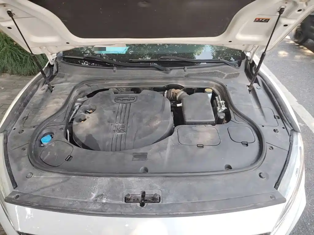 Geely Borui 2022 2021 1.8T Pilot Edition+