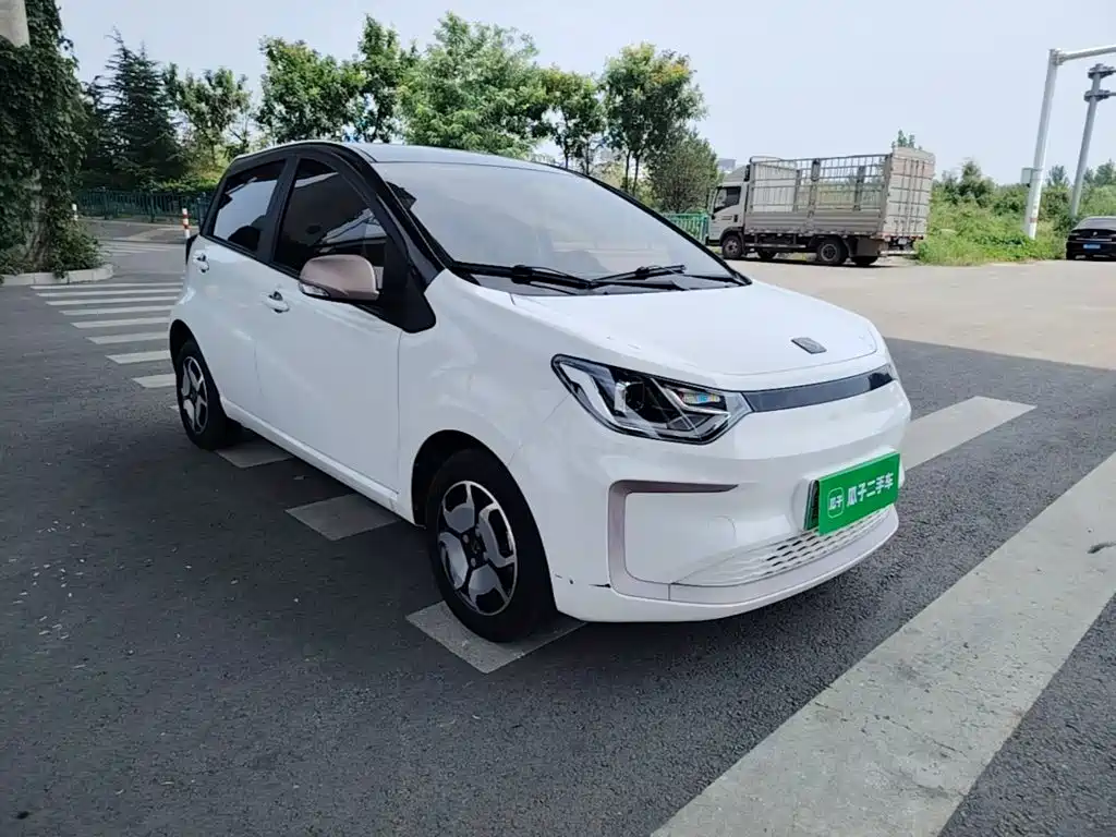 Sehol Flower Fairy 2021 2021 302km Luxury Edition 31.4kWh