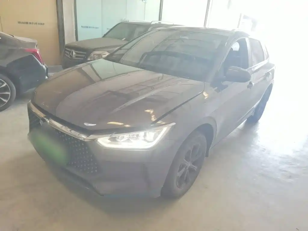 BYD e2 2021 2021 Luxury Edition