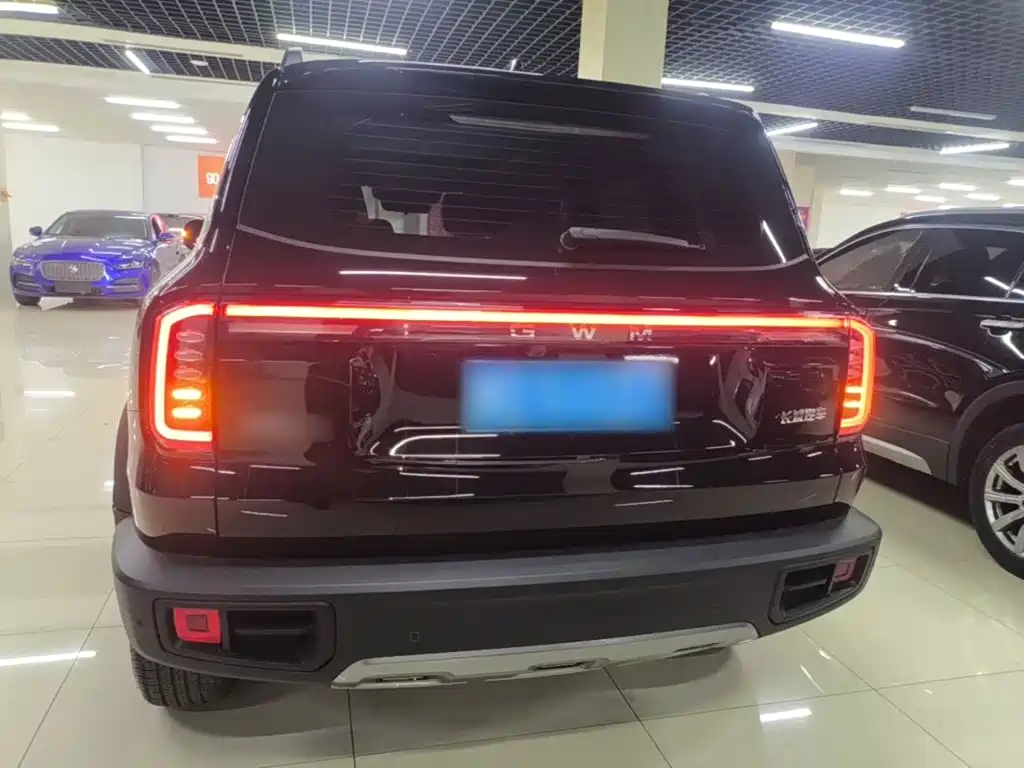 Фото 6 - Haval Dargo