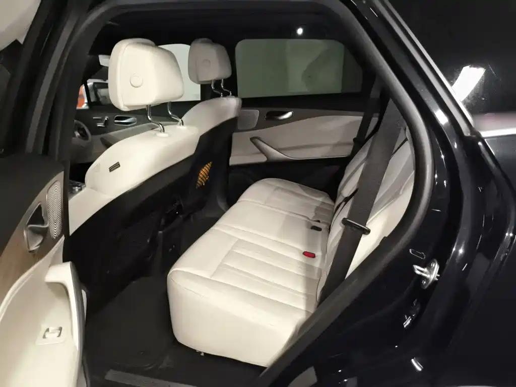 Denza X 2021 2020 Model PHEV Flagship Edition