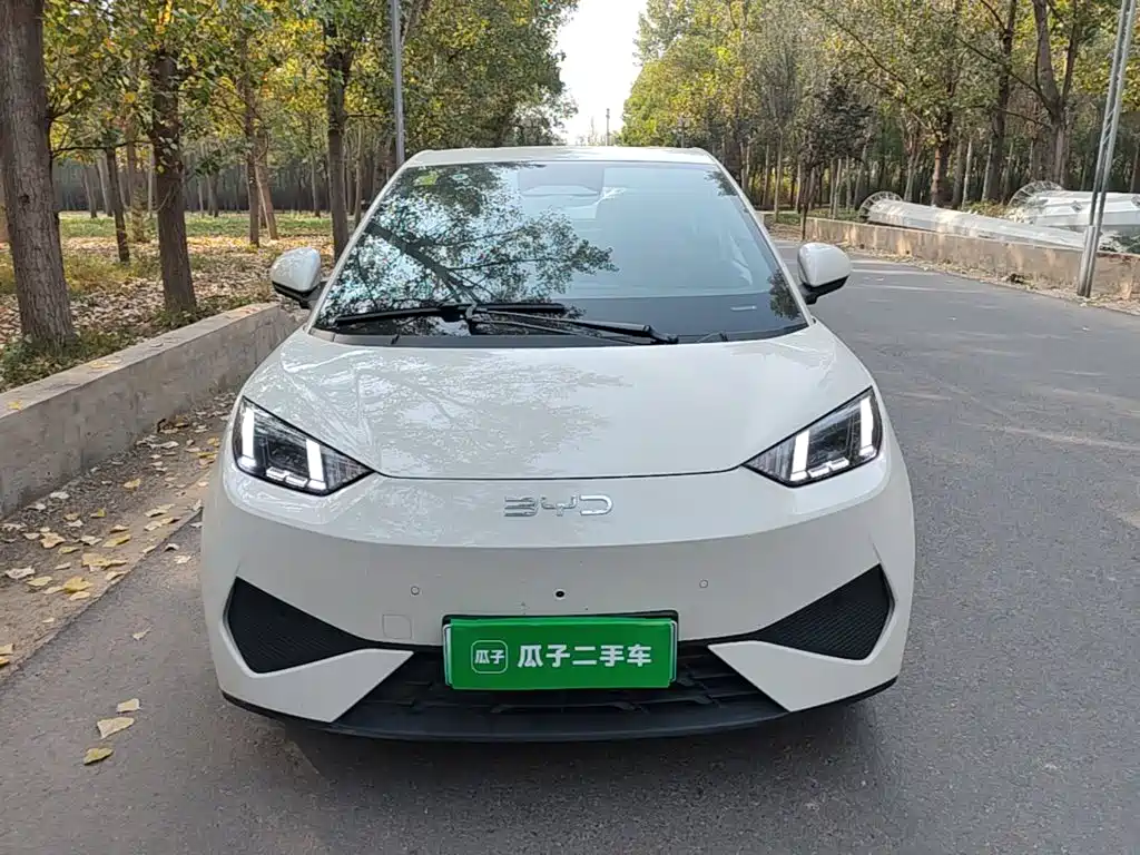 Фото 3 - BYD Seagull