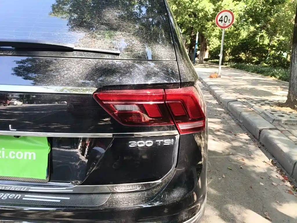 Volkswagen Tiguan L 2025 2025 Model 300TSI Auto 2WD Dragon Edition
