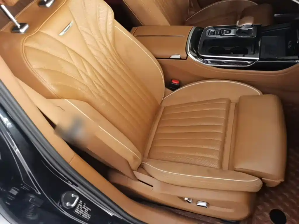 Hongqi H9 2025 2025 Facelift 2.0T 2WD Flagship Private Style Edition 5-seater