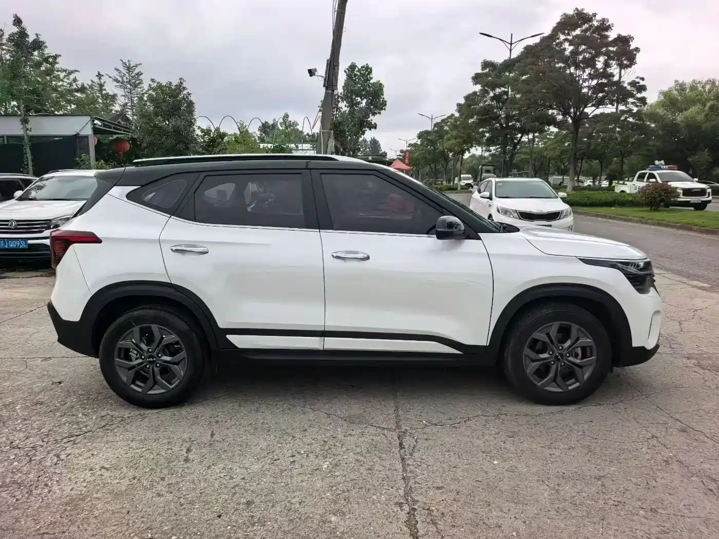 Kia Seltos 2024 2023 1.5L CVT Luxury Edition