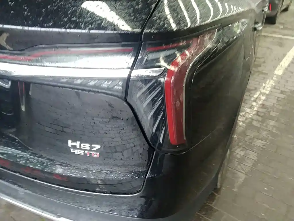 Hongqi HS7 2024 2023 2.0T Auto 4WD Qi Chang Edition 6-Seater