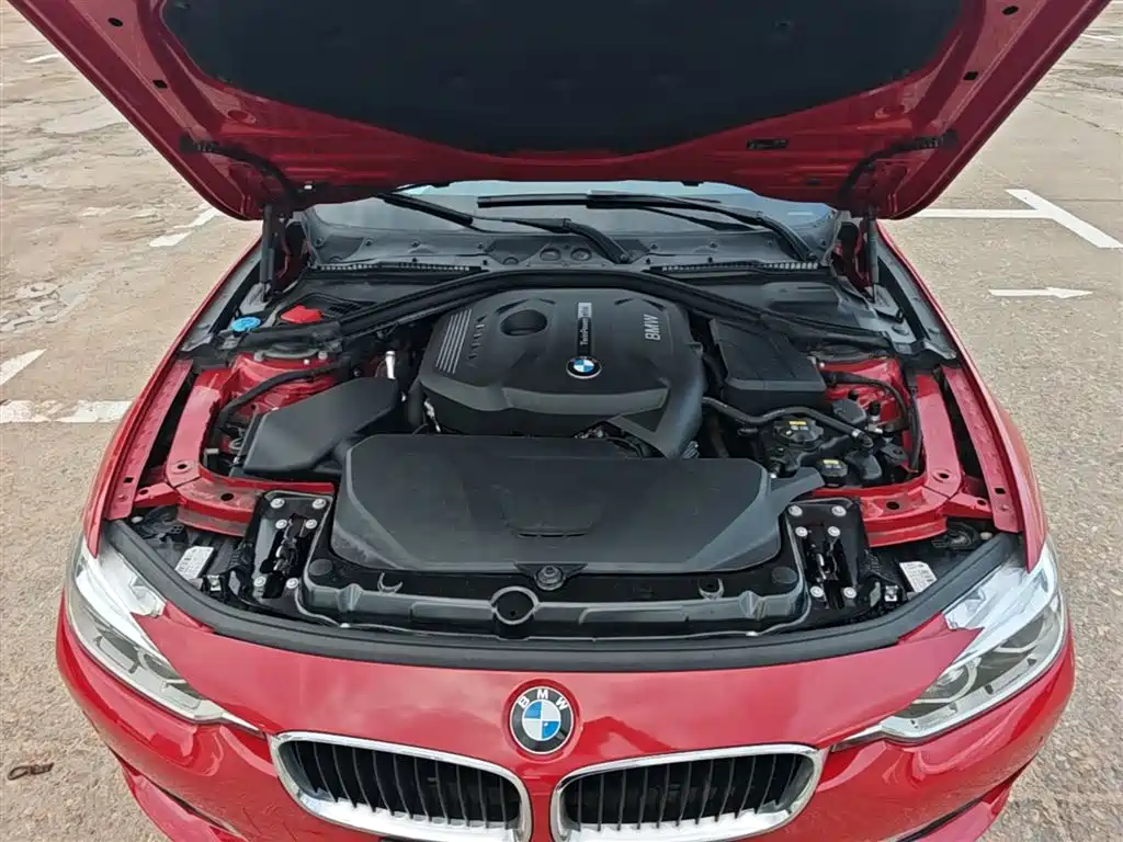 BMW 3 Series 2017 320Li Fashion фото 20