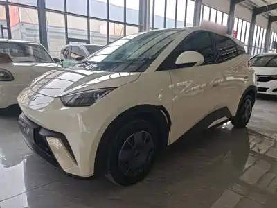 BYD Seagull