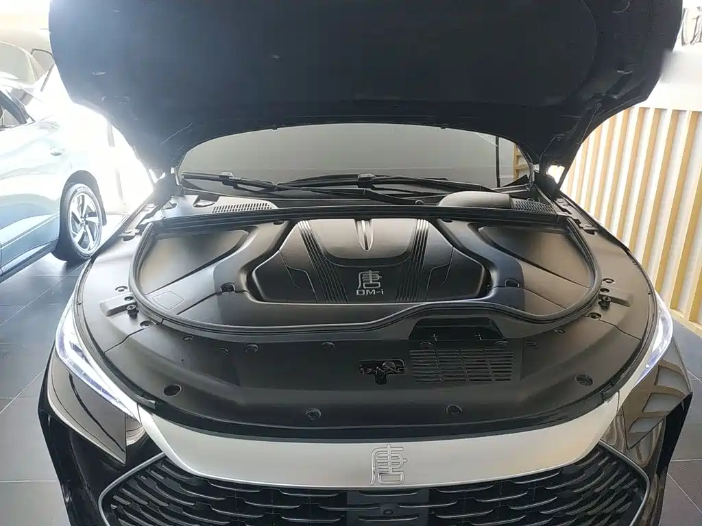 BYD Tang New Energy 2025 2025 DM-i 115KM Prestige Type