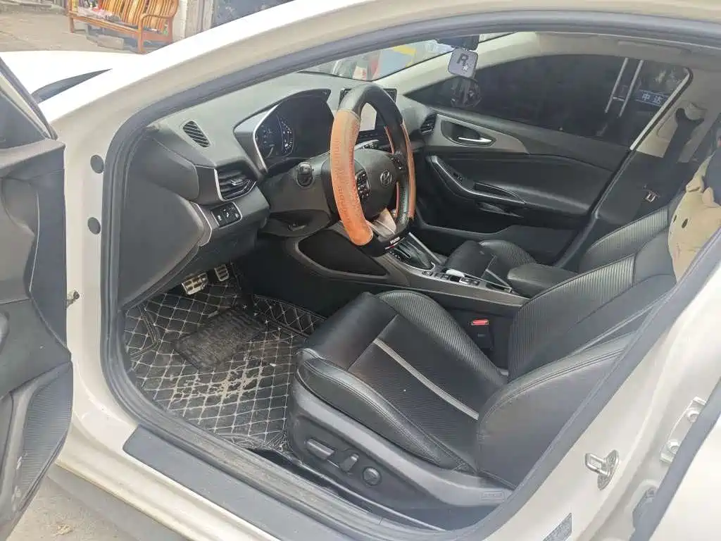 Photo 3 - Hyundai Lafesta