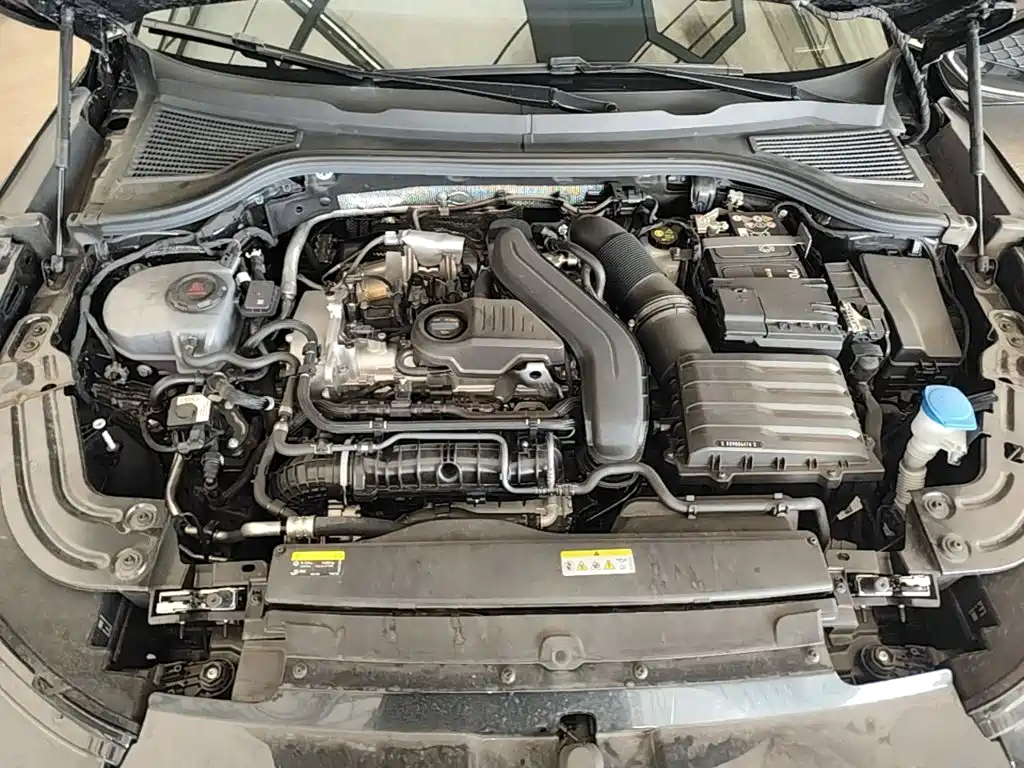 Volkswagen Magotan 2026 2024 300TSI DSG Premium Edition (Eye-catching Package)