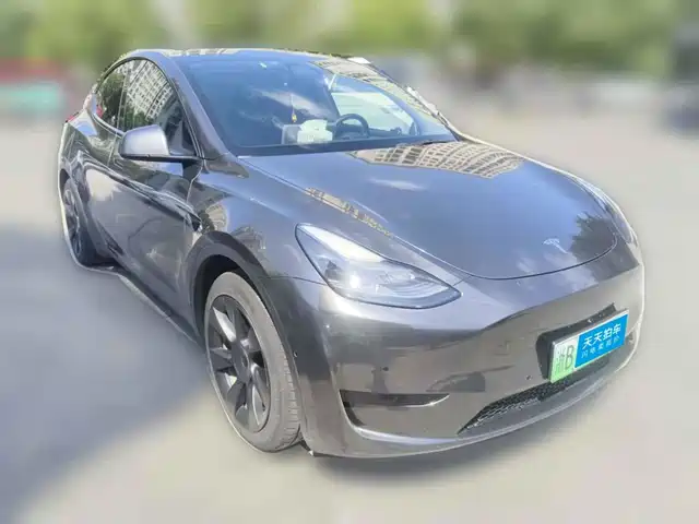 Tesla Model Y 2022 Rear-Wheel Drive Version — фото 3