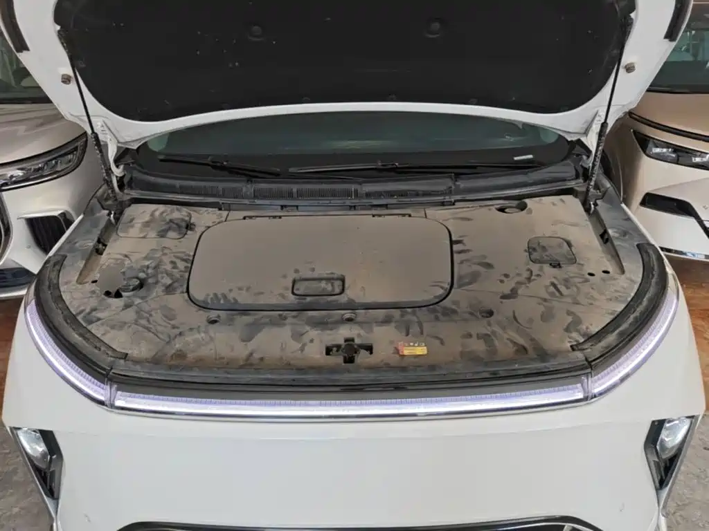 SAIC Maxus Dajia 9 2023 2022 Long Range Grassland 7-Seater