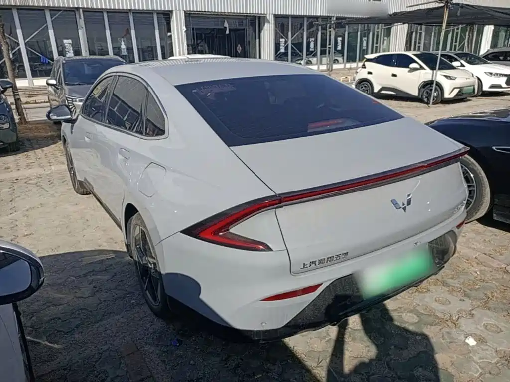 صورة 5 - Wuling Motors Wuling Xingguang