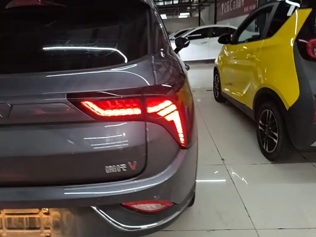 Nezha Auto Nezha V 2023 2022 Tide 300 Lite Ternary Lithium