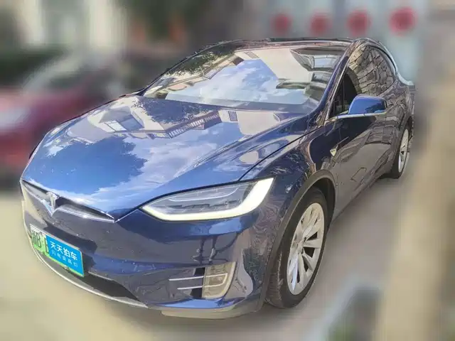 Tesla Model X 2017 Model X 100D Long Range — фото 1