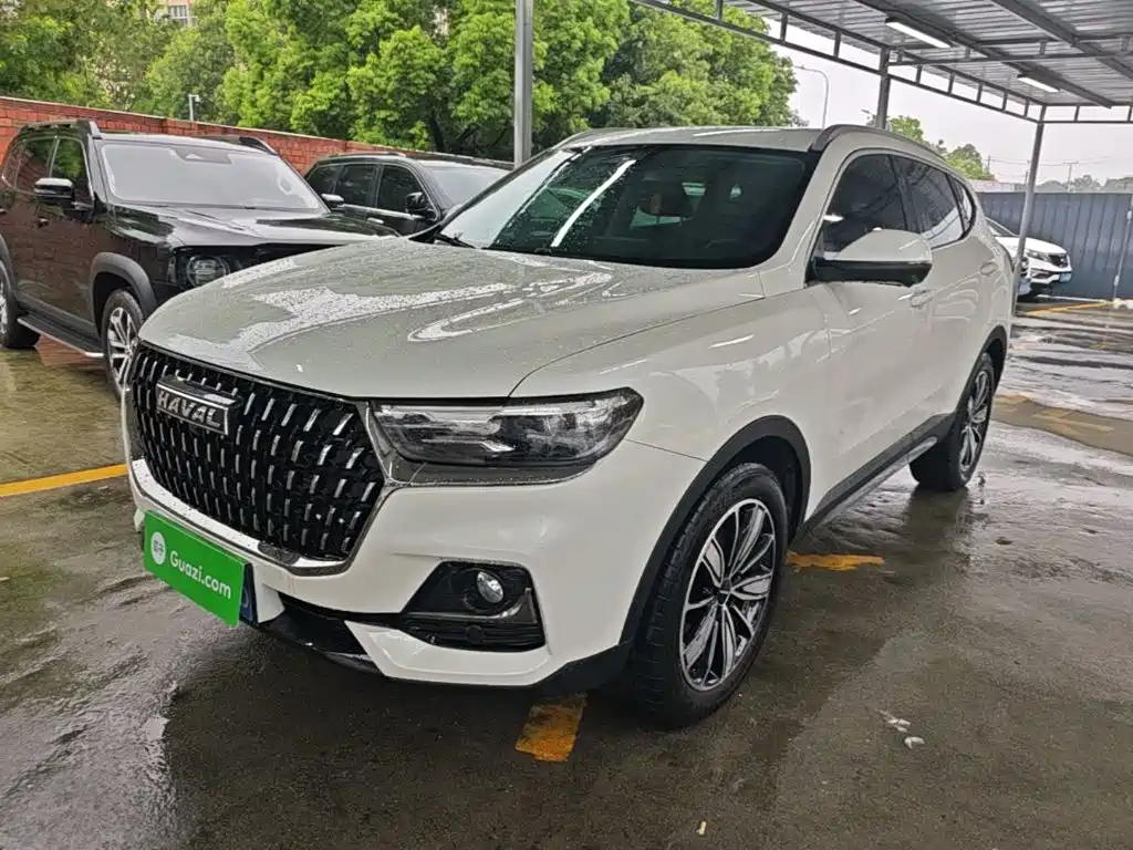 Haval H6 2024 2023 National Trend Edition 1.5T Automatic Champion