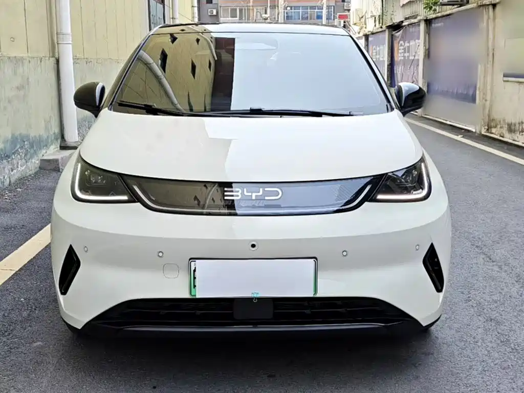 BYD Dolphin 2026 2025 Smart Drive Edition 420km Freedom Version