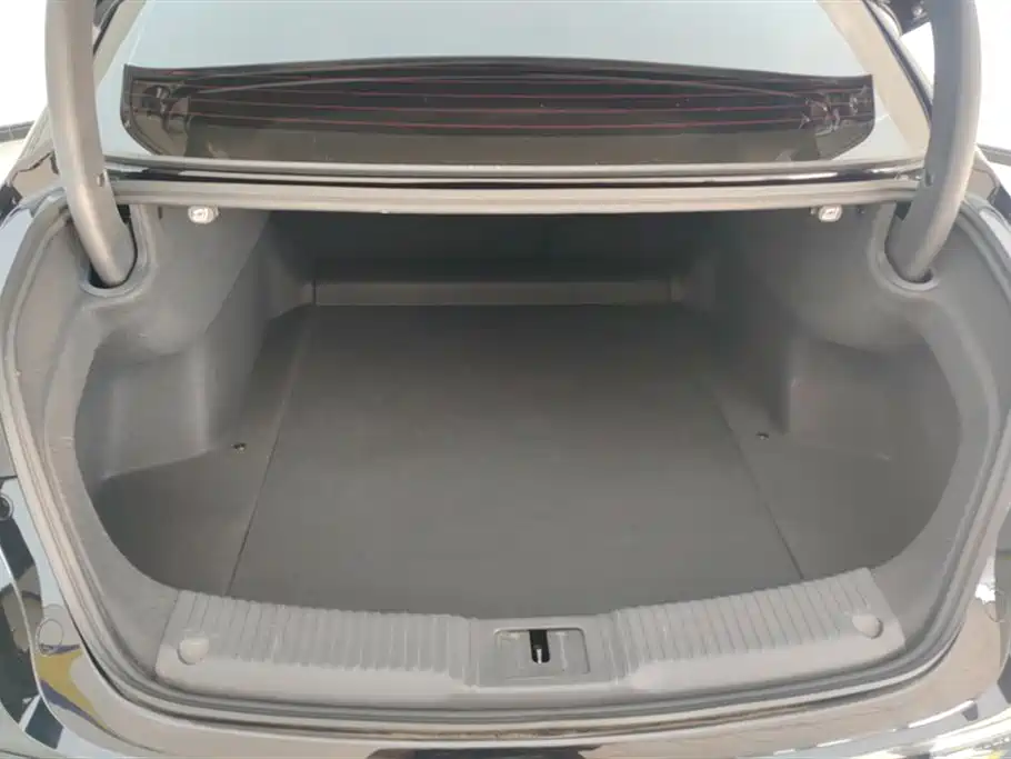 Hongqi H5 2024 1.5T DCT Smart Connect Flag Rhythm Edition фото 4